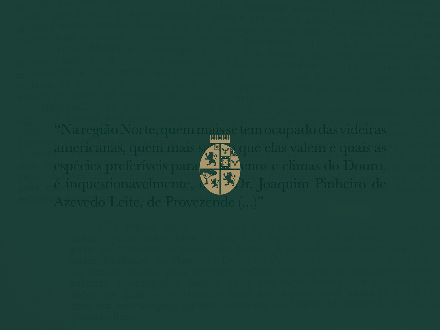 branding  marca Cartão de Visita graphic design  green gold pinheiro da veiga Baskerville avenir next heritage