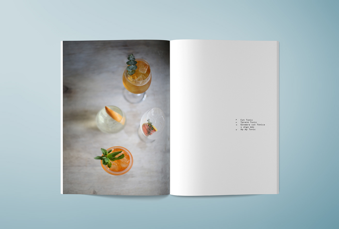 book editorial design  graphic design  typography   design