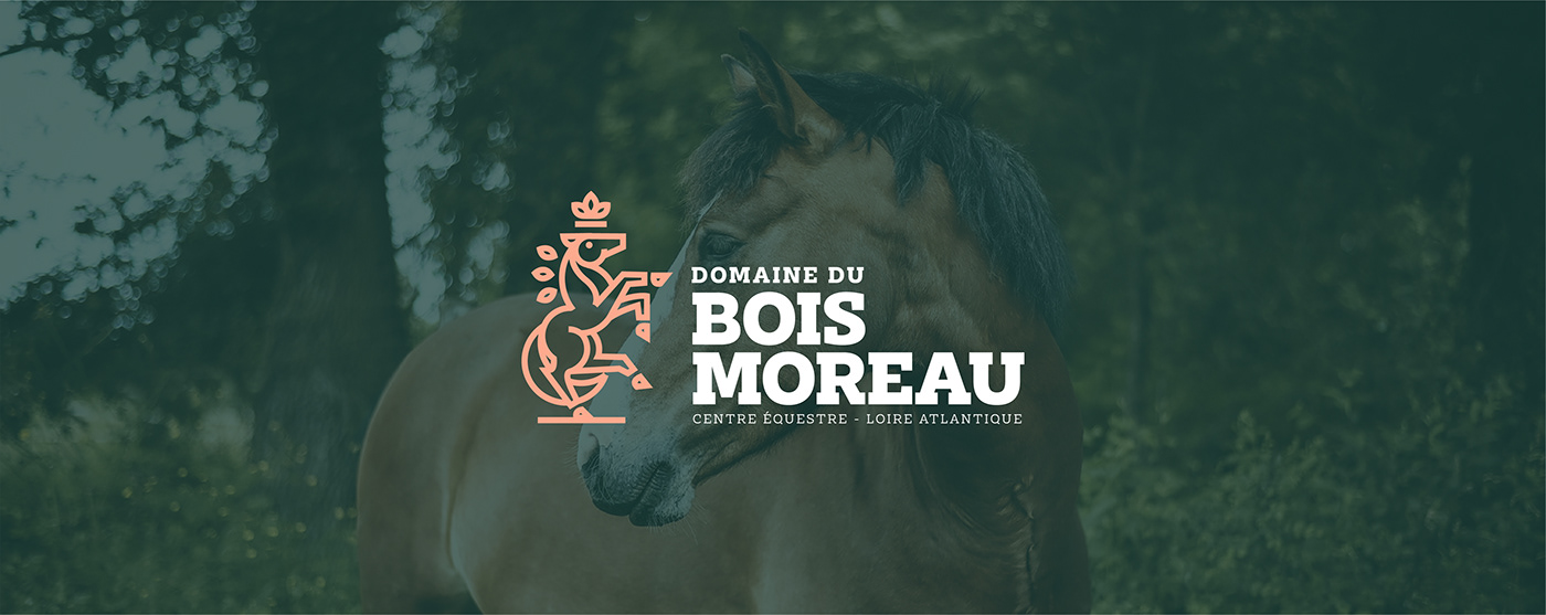 branding  brandingdesign equestrian equine horse horses logo logodesign sport visual identity