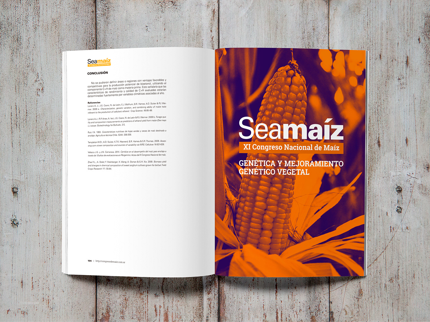 Diseño editorial cover maiz reticula maquetación libro digital ebook e-book scientific diseño gráfico
