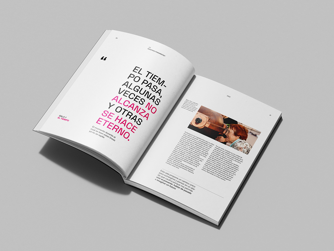TIF tesis uade editorial graphic design  book Layout brand identity InDesign science