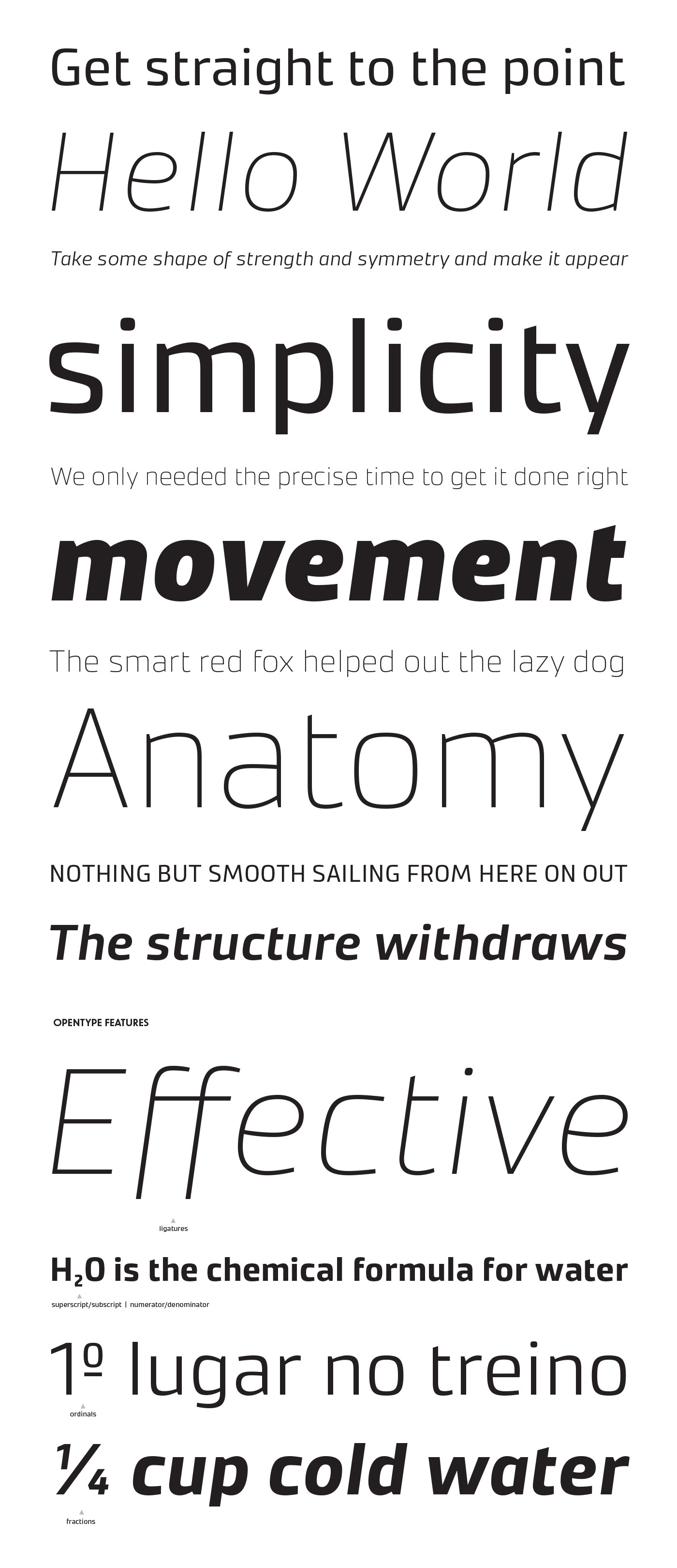 type fonts Typeface