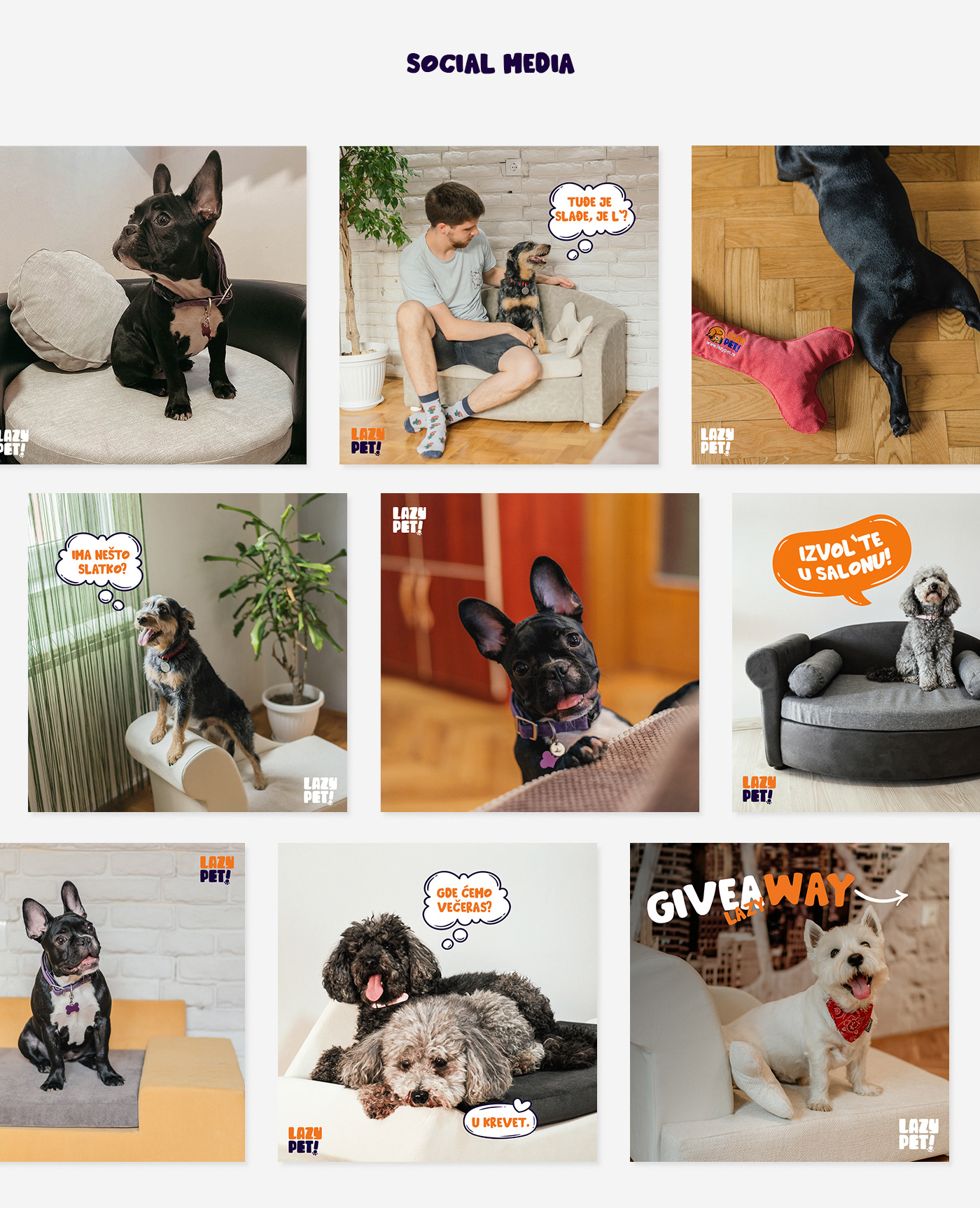 a2 creative branding  dog furniture graphic design  instagram logo Pet pets social media
