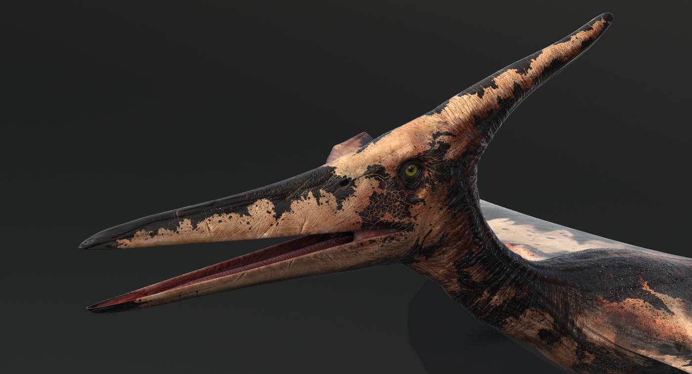 pteranodon dinosar 3D pterosaur pterodactile Zbrush 3dsmax animal