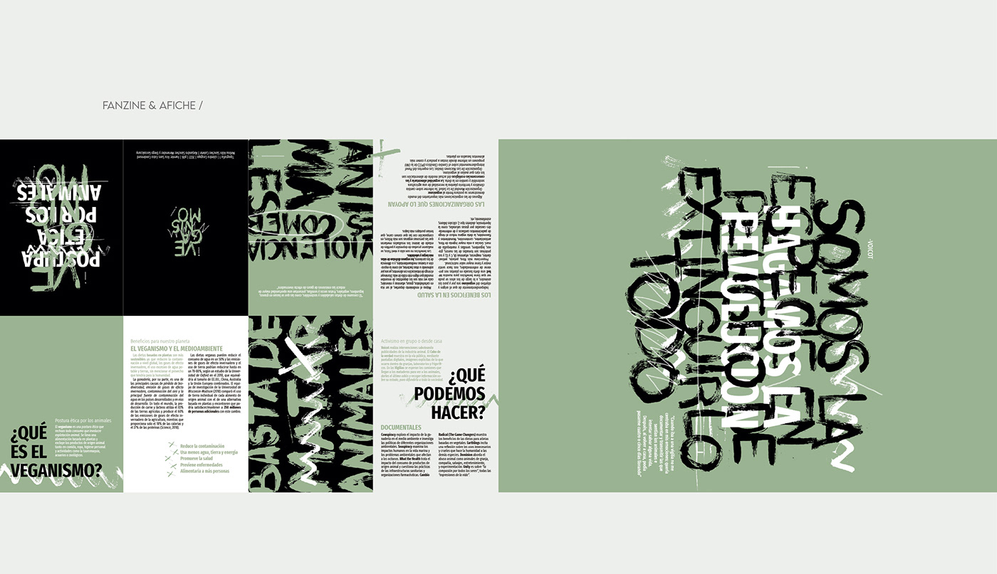 Diseño editorial diseño gráfico fanzine medioambiente poster tipografia typography   vegan fadu cosgaya
