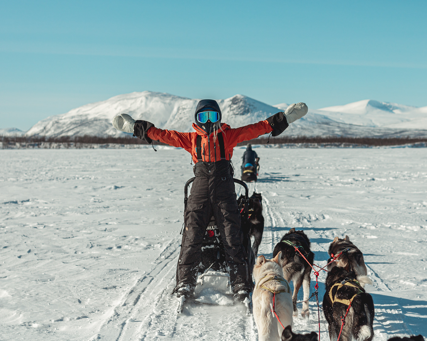Arctic Dog Sledding Fjällräven mountains musher Nature Outdoor snow