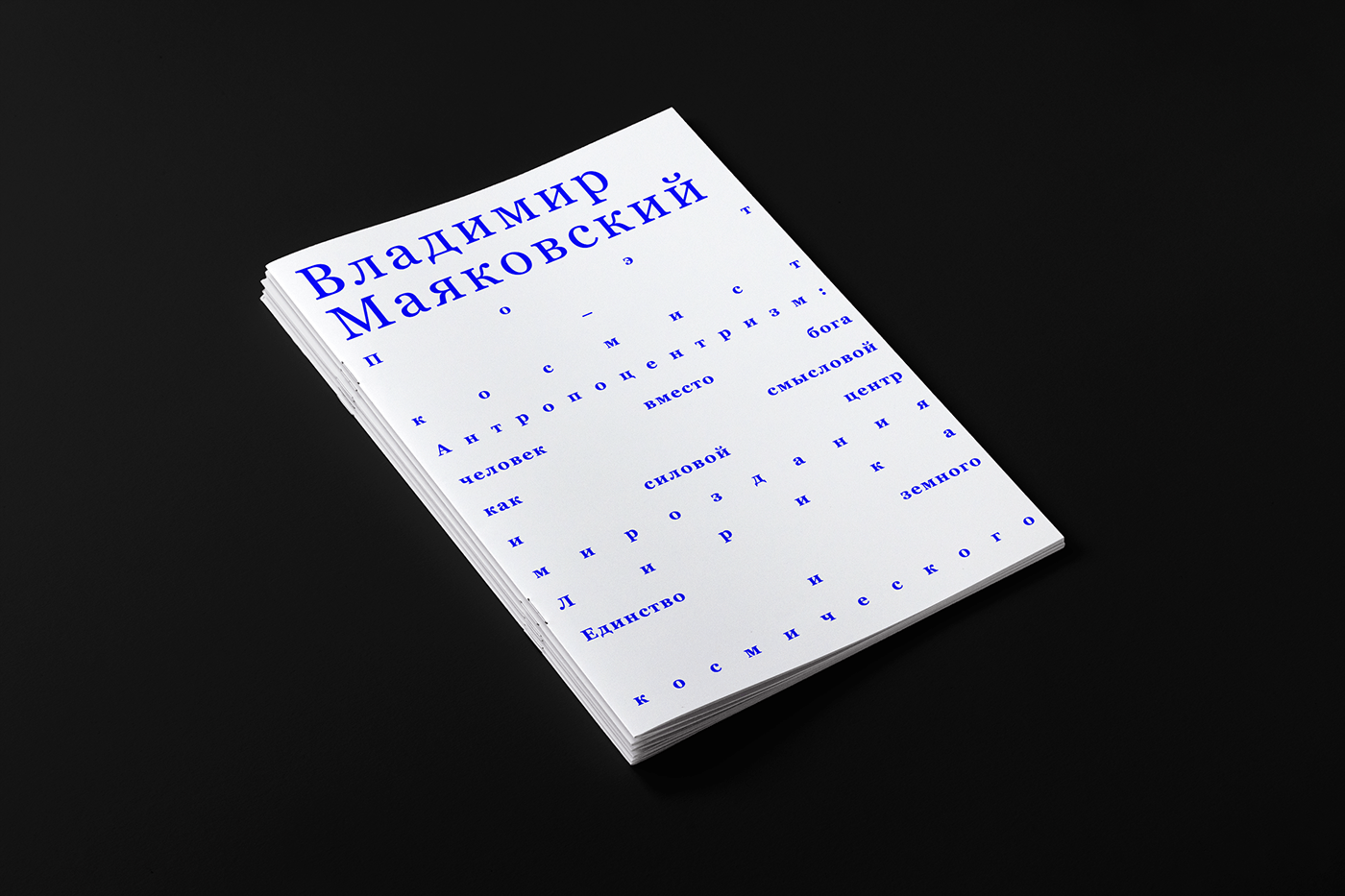 booklet design graphic design  typography   Poetry 