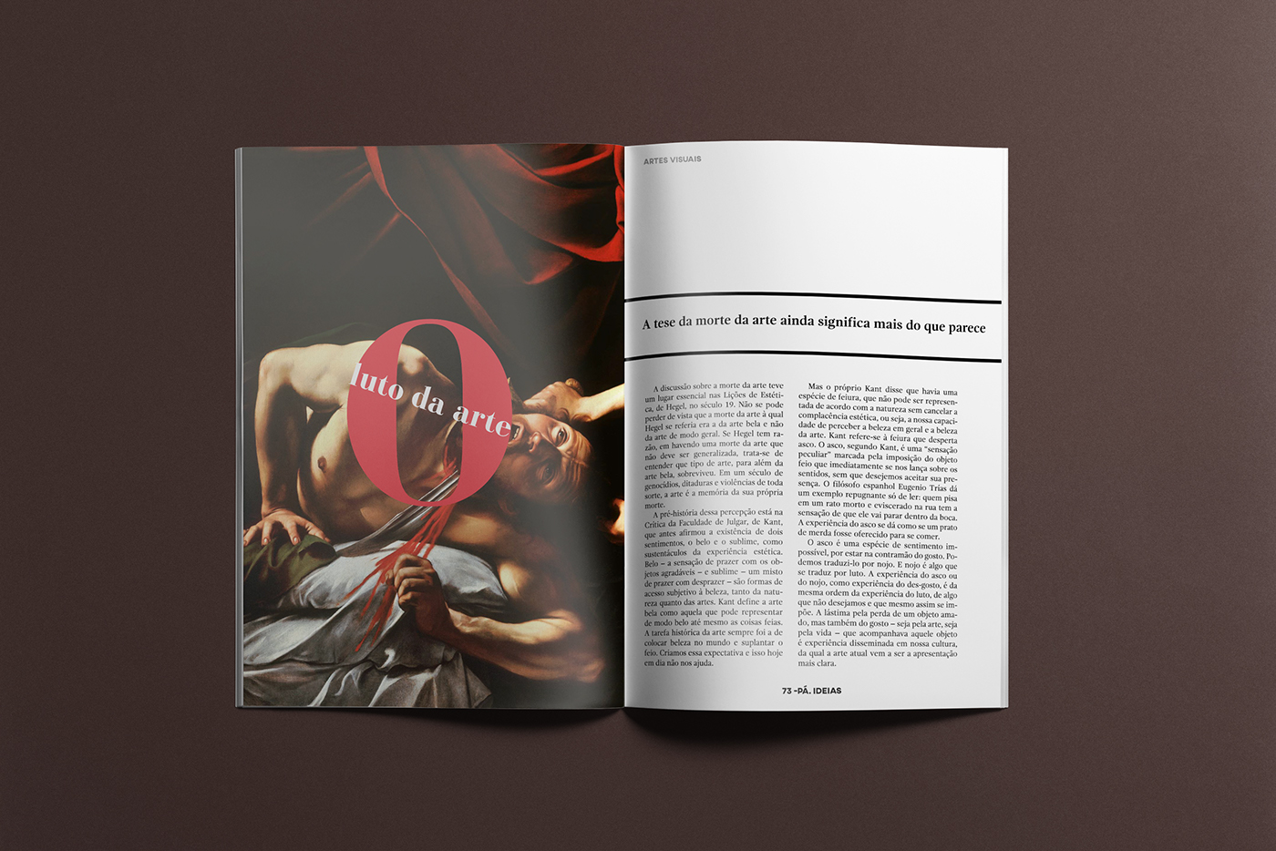 editorial graphic design  design gráfico magazine revista Brasil FAV InDesign Illustrator hq