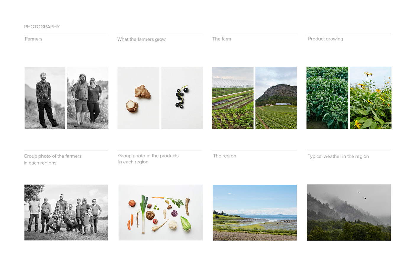 local food brand communication farmers organic norway Regions Photography  purpose