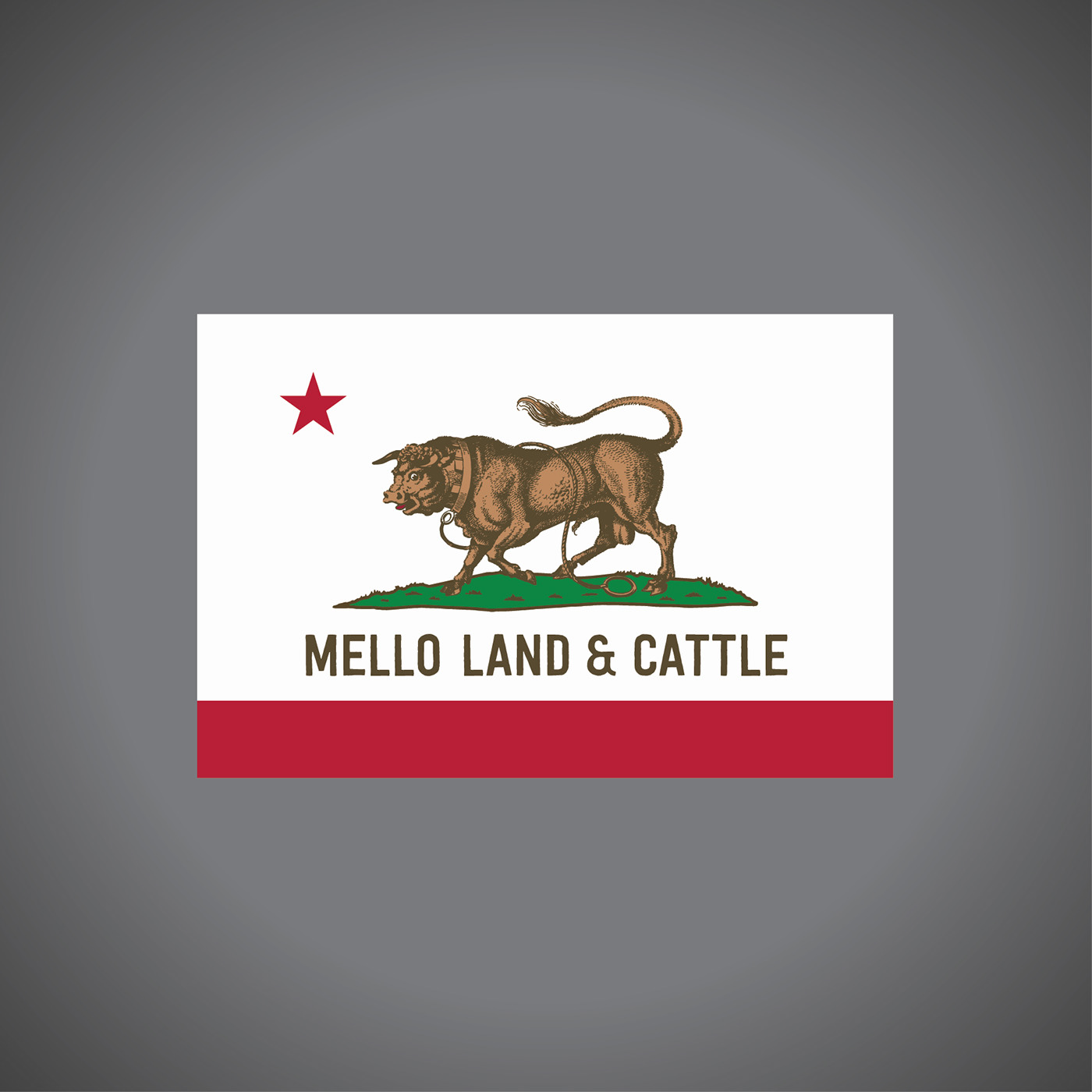 branding  California cattle ranch graphic design  Logo Design