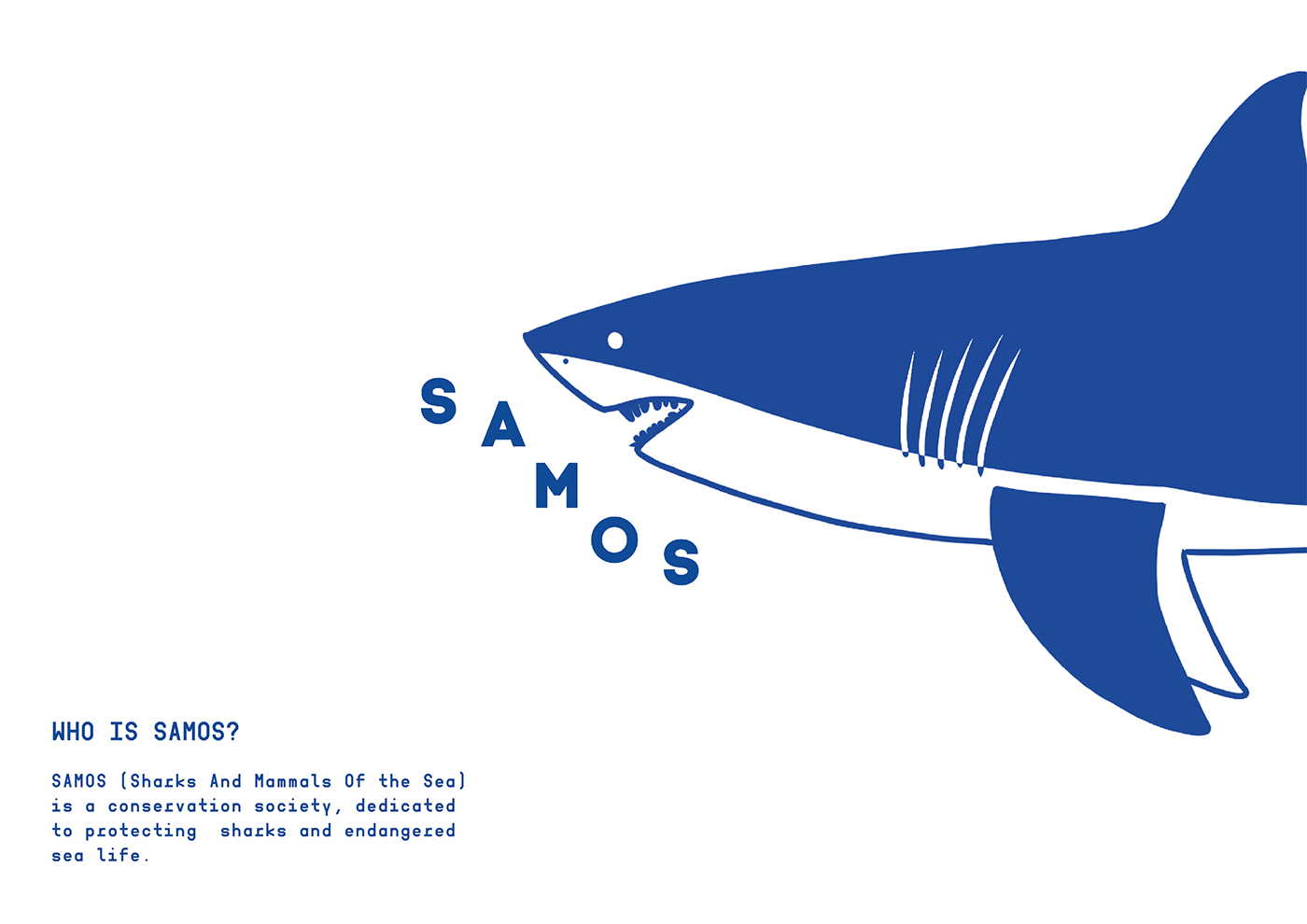 blue brand guidelines brand identity branding  fish Ocean samos sealife shark sharks
