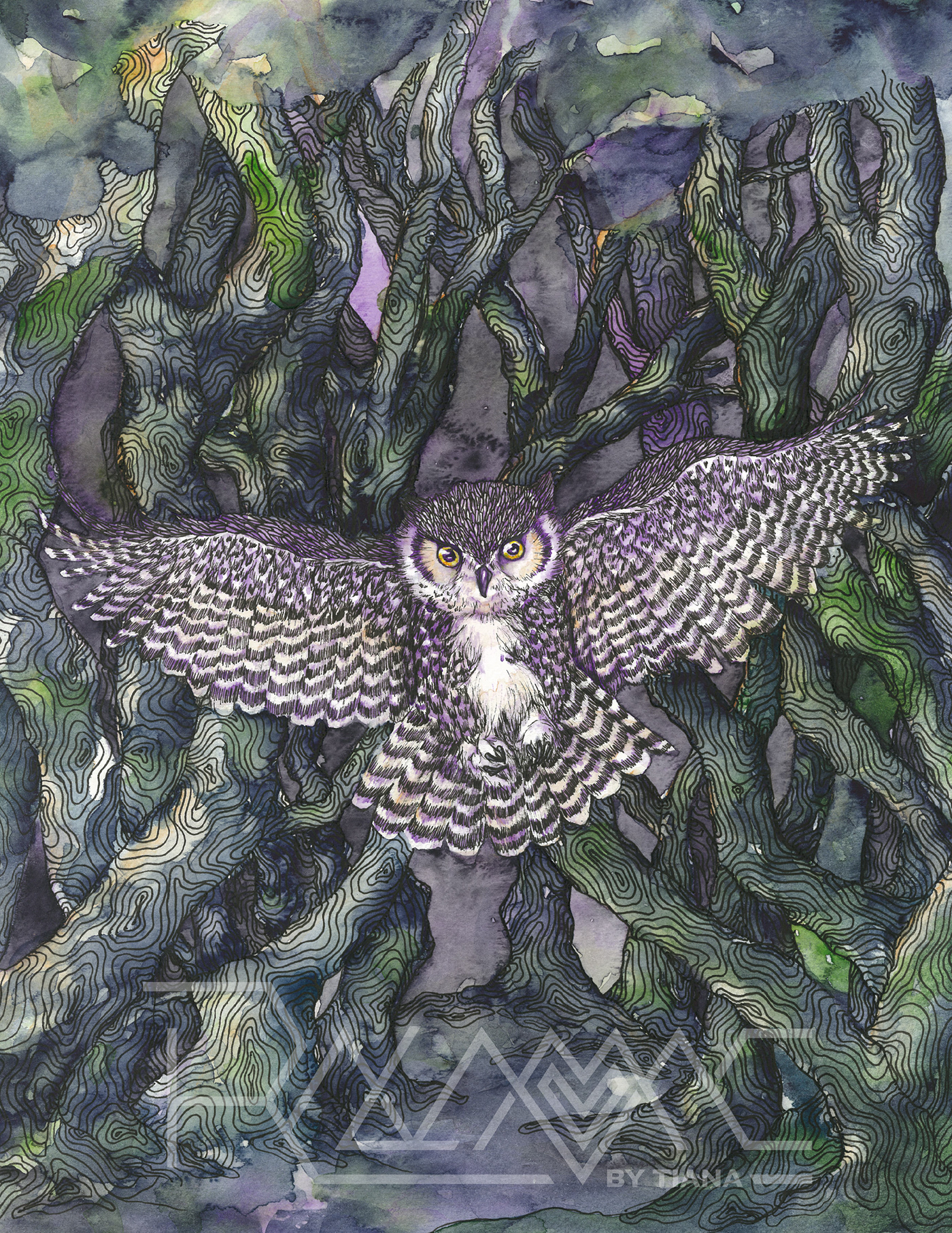 graphic designk design ILLUSTRATION  watercolor painting   owl linework art FINEART surreal