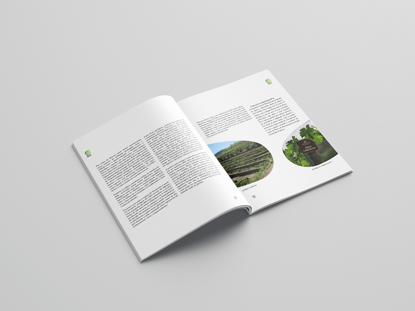 editorial design  graphic design  book cover book design