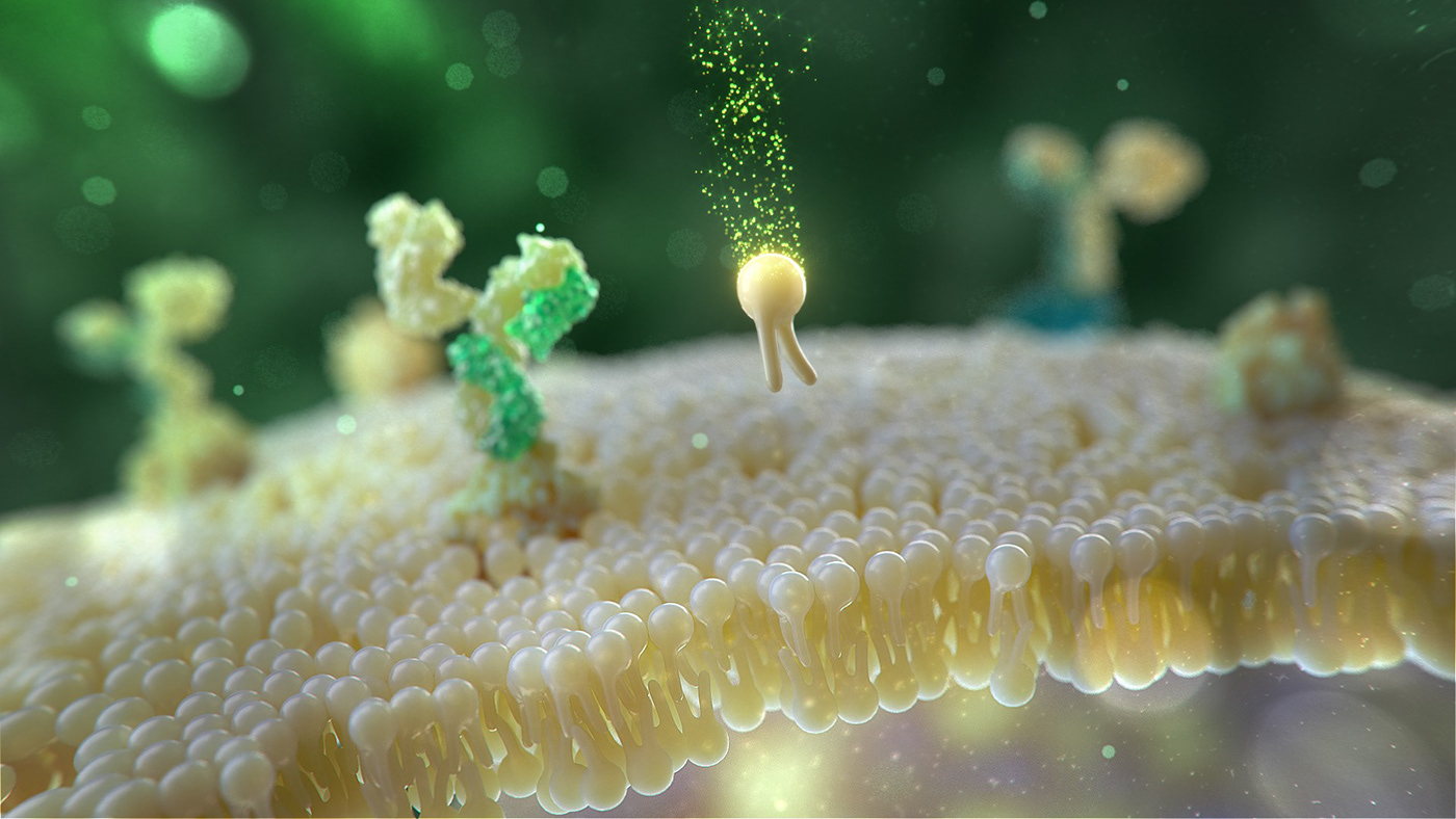 3d animation 3D Medical animation after effects blood cinema 4d medical medicine neuron redshift