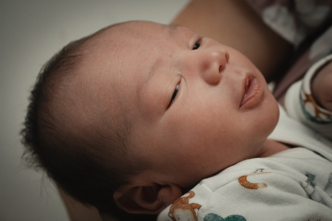 baby cute ensaio familia family newborn Photography  photoshoot woman