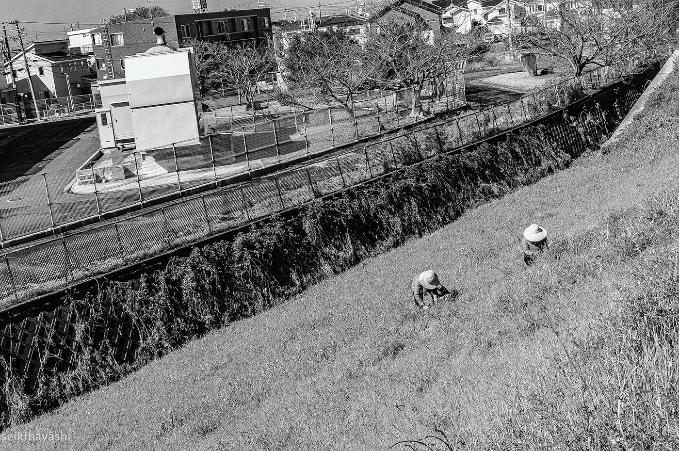 black and white countryside japan local city Street streetphotography wakayama