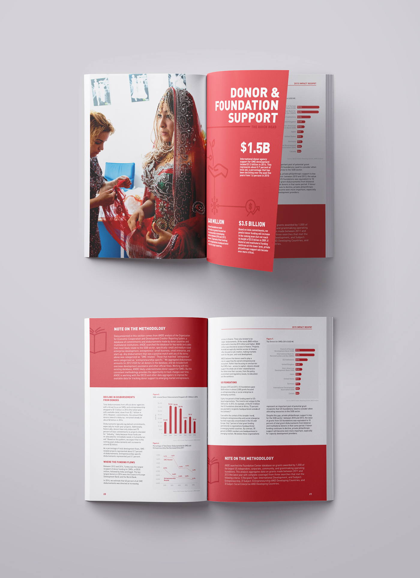 annual report Bold Typography colorful publication design print design  NGO nonprofit organization