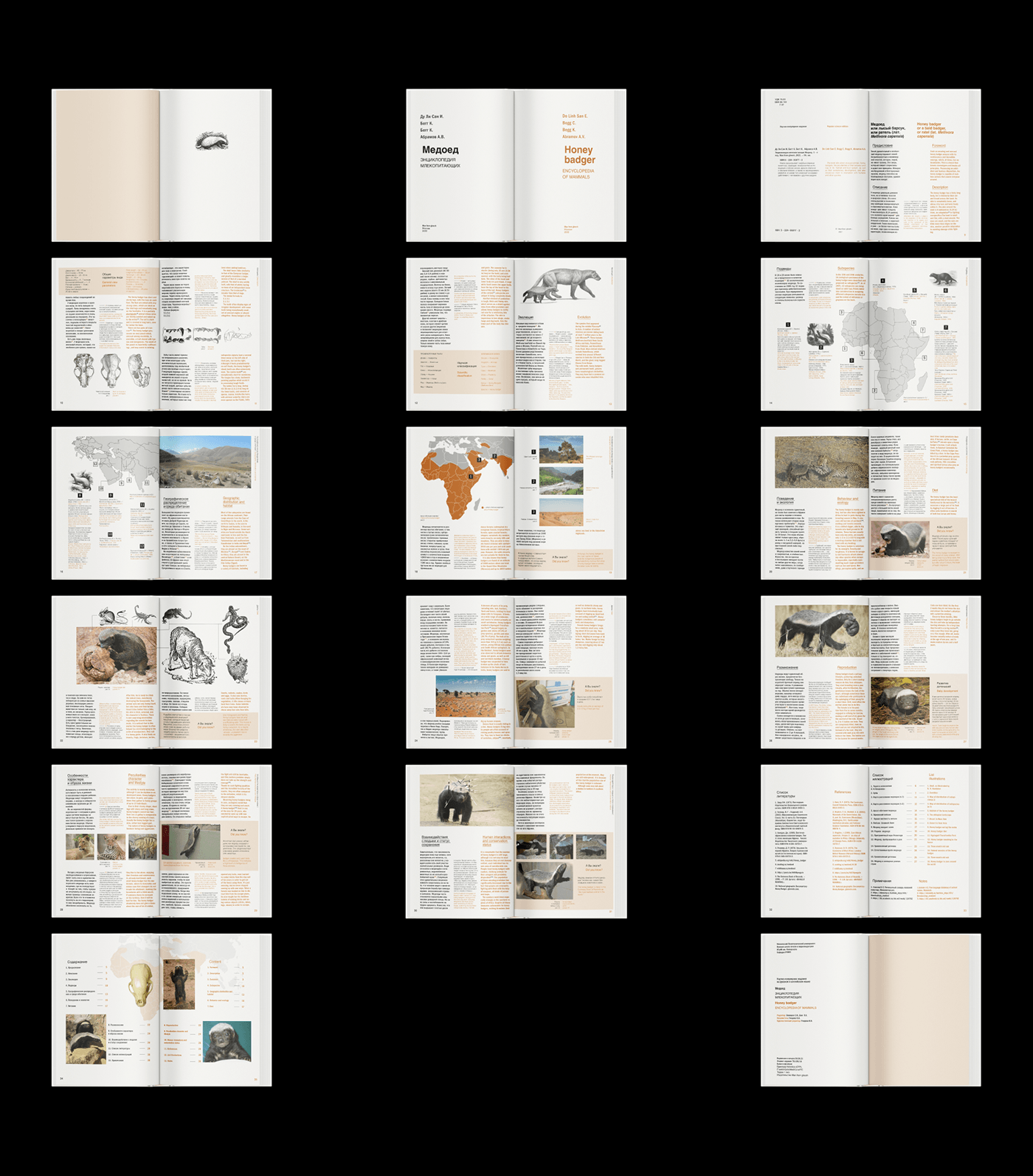 design animals typography   book book design Web Design  UI/UX landing page Website typography design