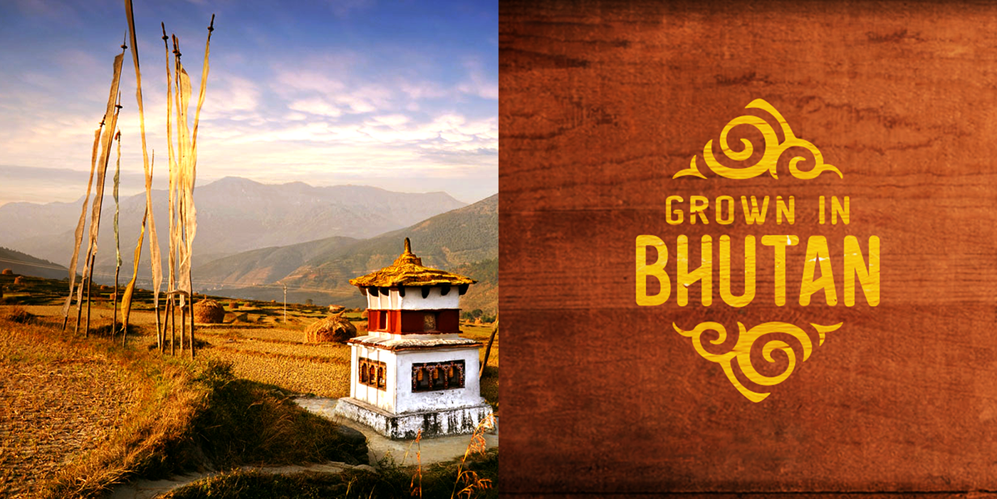 Adobe Portfolio identity bhutan country Made in tourism Government colorful brand graphic logo destination asia culture