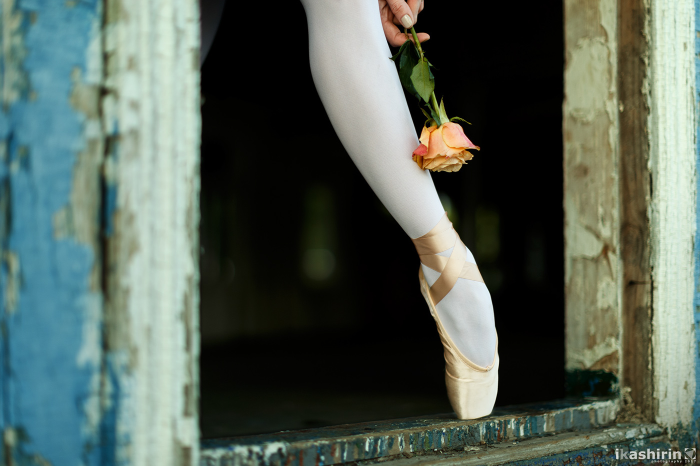 ballet DANCE   pointes legs Sunrise Flowers river beauty ikashirin