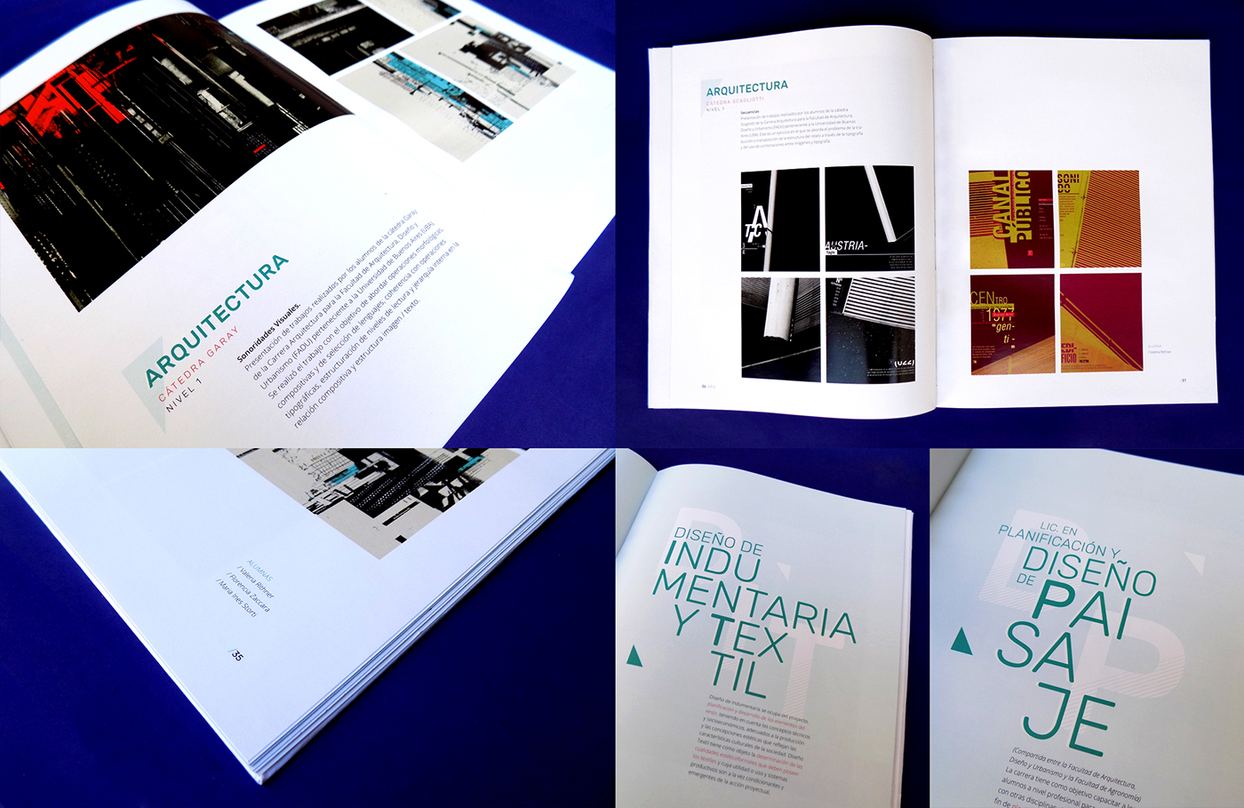 catalogo bienal de diseño Catalogue editorial libro tipografia typography   book fadu uba