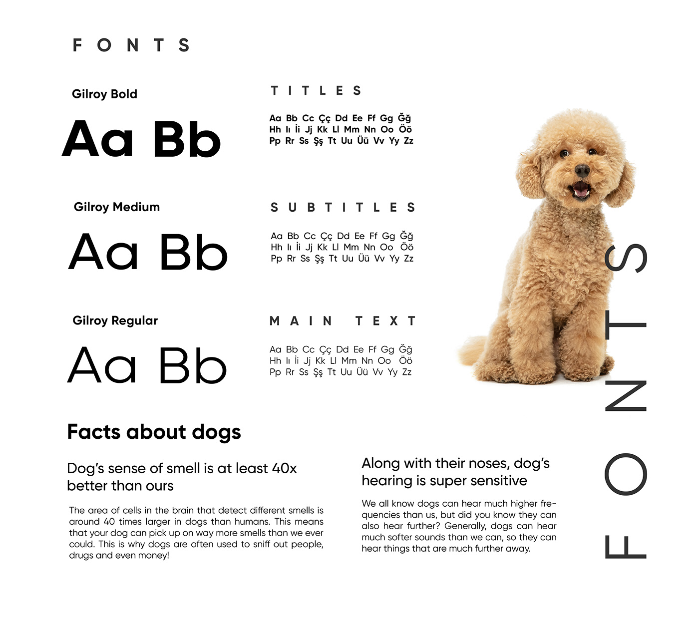 fonts and text