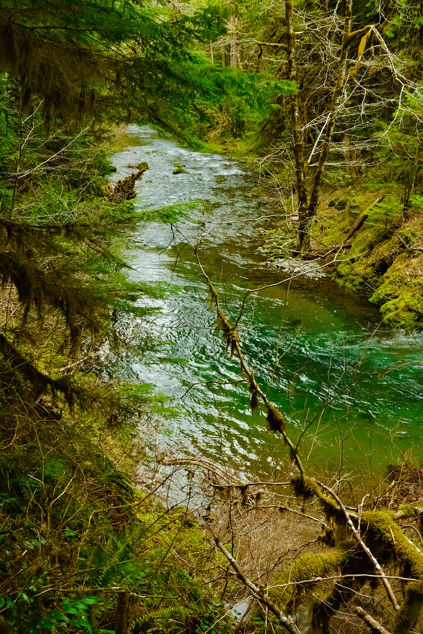 photos Portland Oregon Beautiful Waterfalls fujifilm