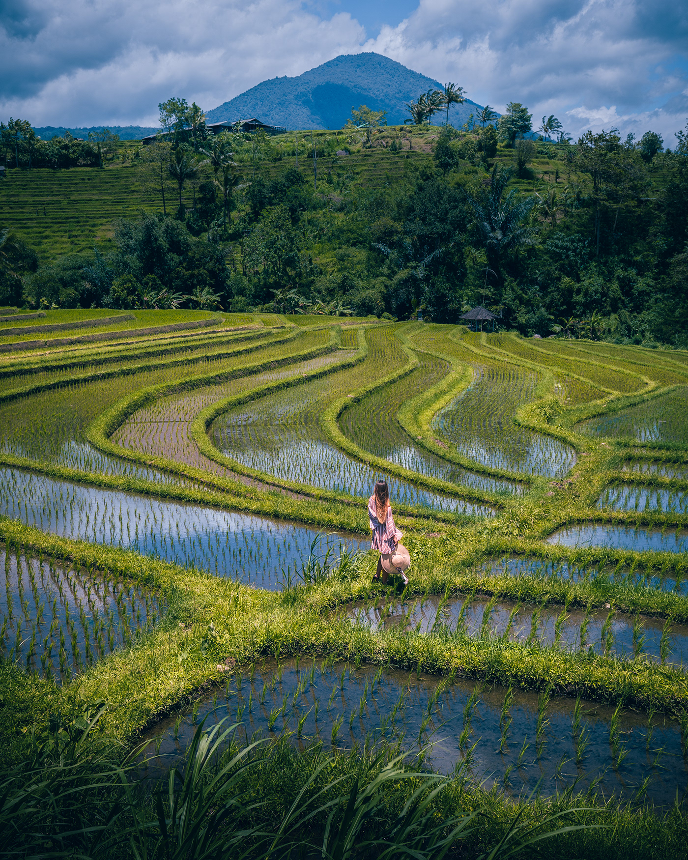 indonesia bali Rice Sunrise Terraces green Landscape Travel