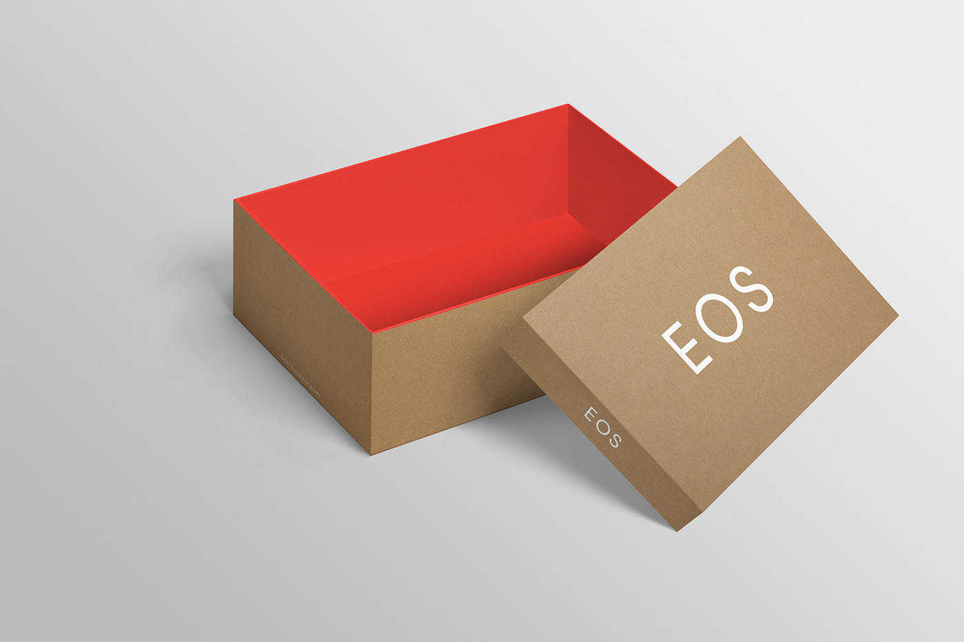 environmentally friendly graphic design  Packaging shoe box Sustainable vector