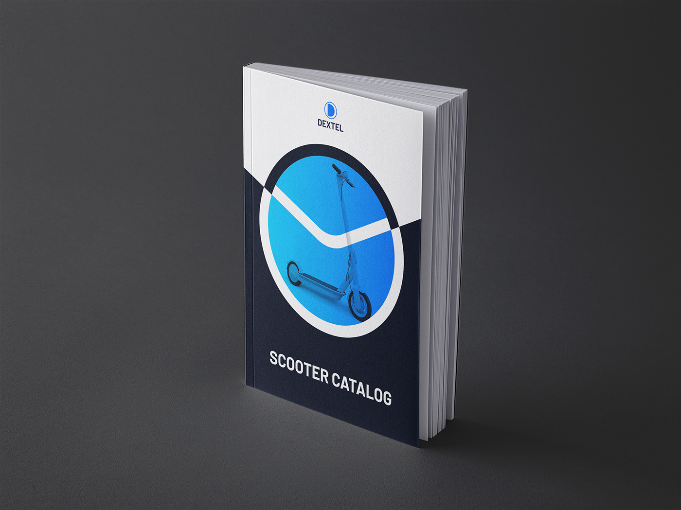 catalog Catalogue product brochure print InDesign magazine design graphic design  brand identity