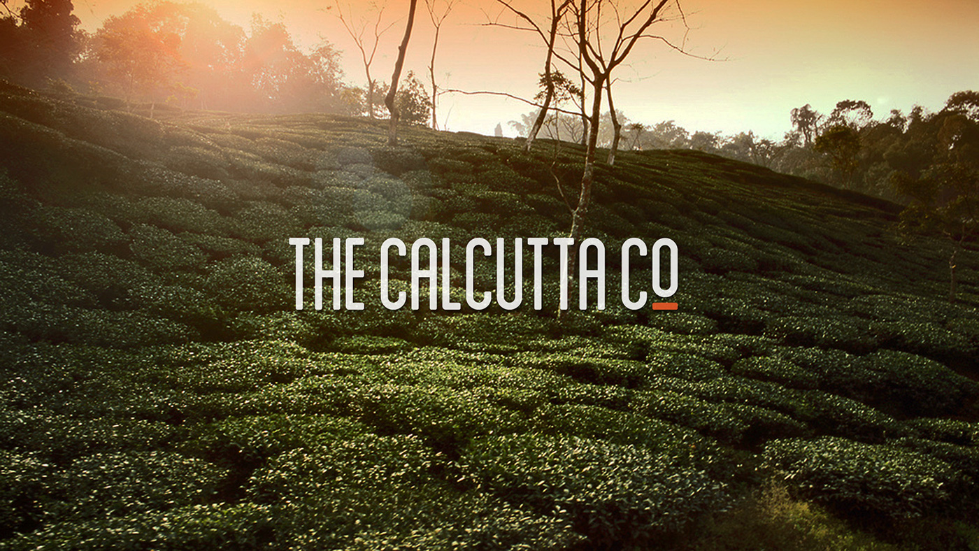 the calcutta company tea tea bags Co. brand identity chamomile tea darjeeling tea green tea calcutta Kolkata