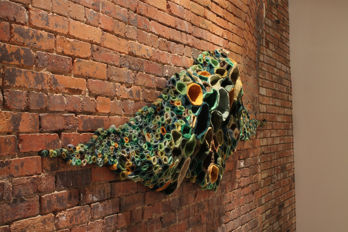 felt Natural Dye wool sculpture installation mold overgrowth