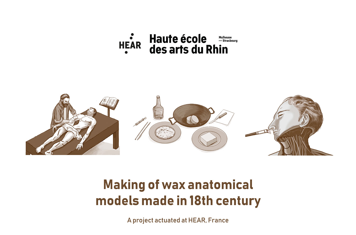 video animation  anatomy wax models