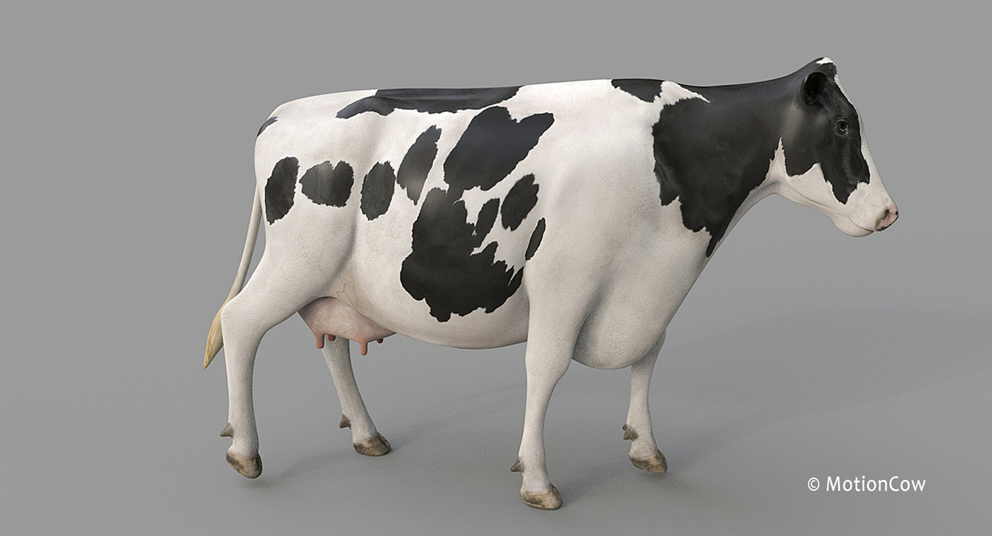 3D 3d modeling 3ds max animal cow Digital Art  free FREE 3d model