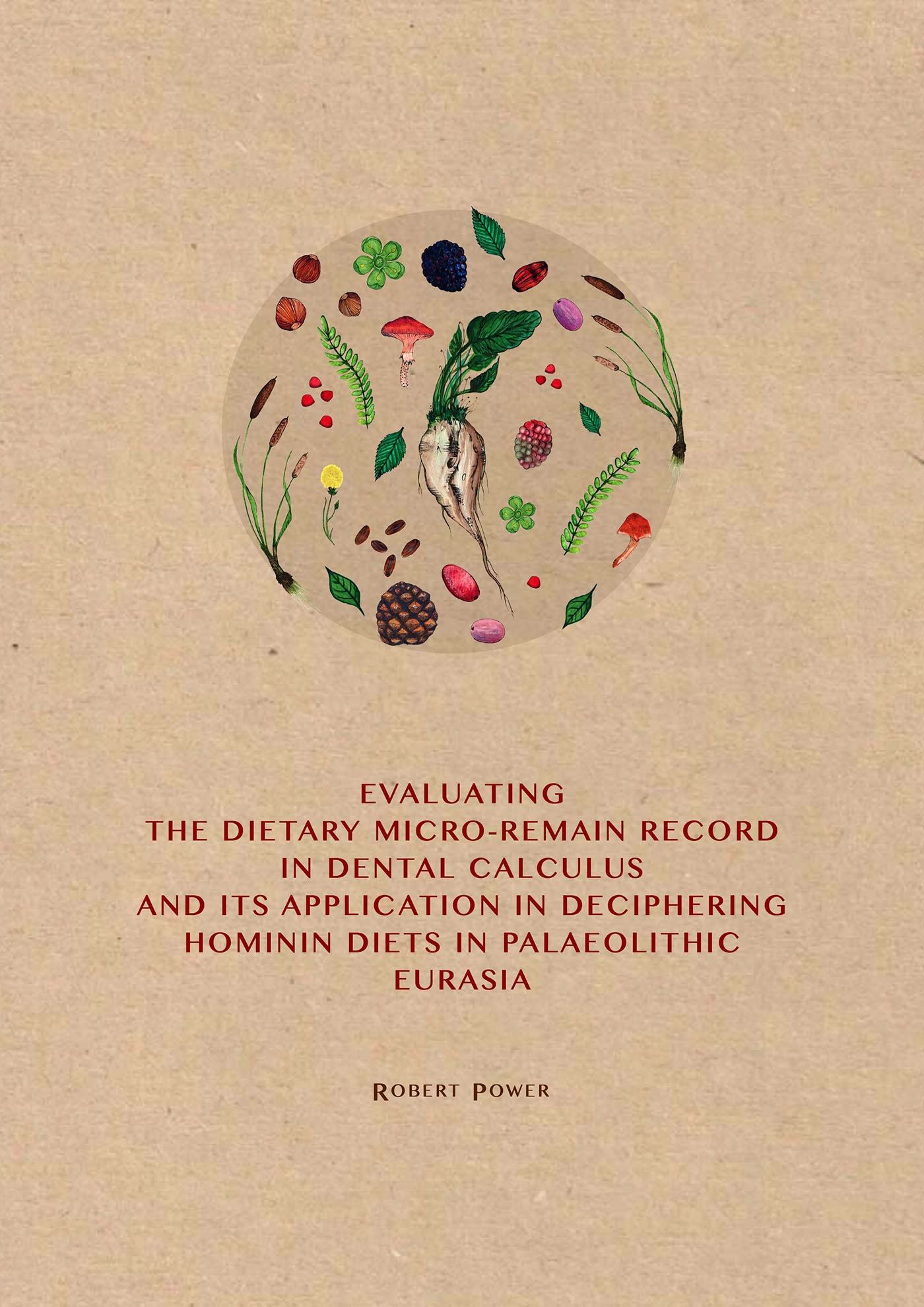 Anthropology archaeology Coverdeign book thesis phd Project