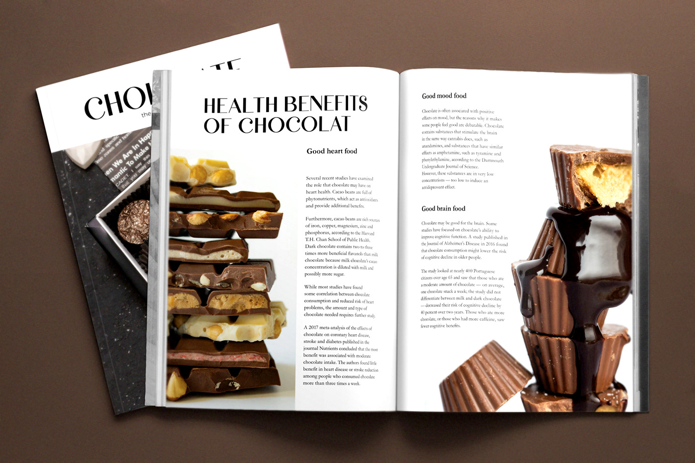 adobe chocolate editorial design  InDesign magazine Magazine Cover Magazine design magazine layout magazines typography  