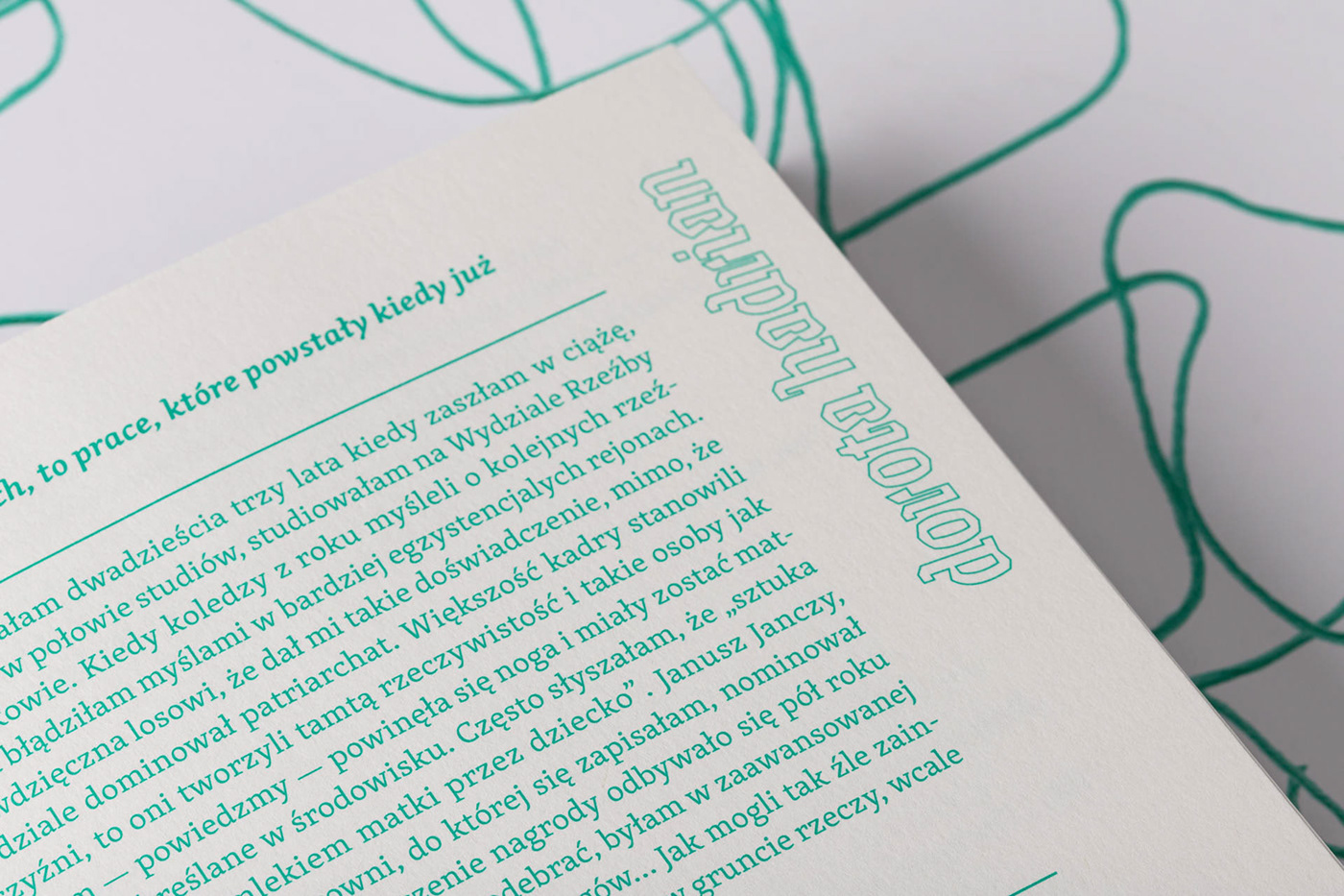 artbook book book art catalog editorial editorial design  InDesign Layout print typography  