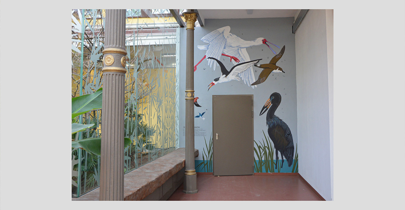 Aleksandra Czudżak bird birds interior painting Mural natural history ornithology wildlife zoo zoology