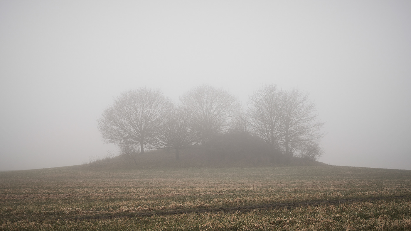 field fog fairytale alexander schönberg mist road Tree  mecklenburg-vorpommern winter spring