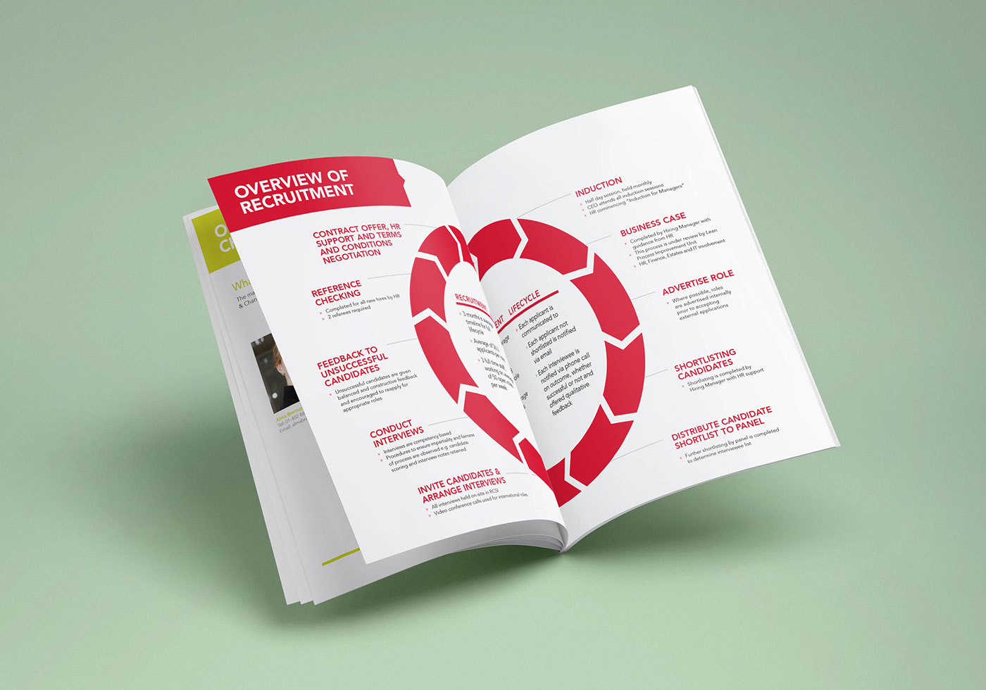 graphic design  infographs Promotional Booklet infographic