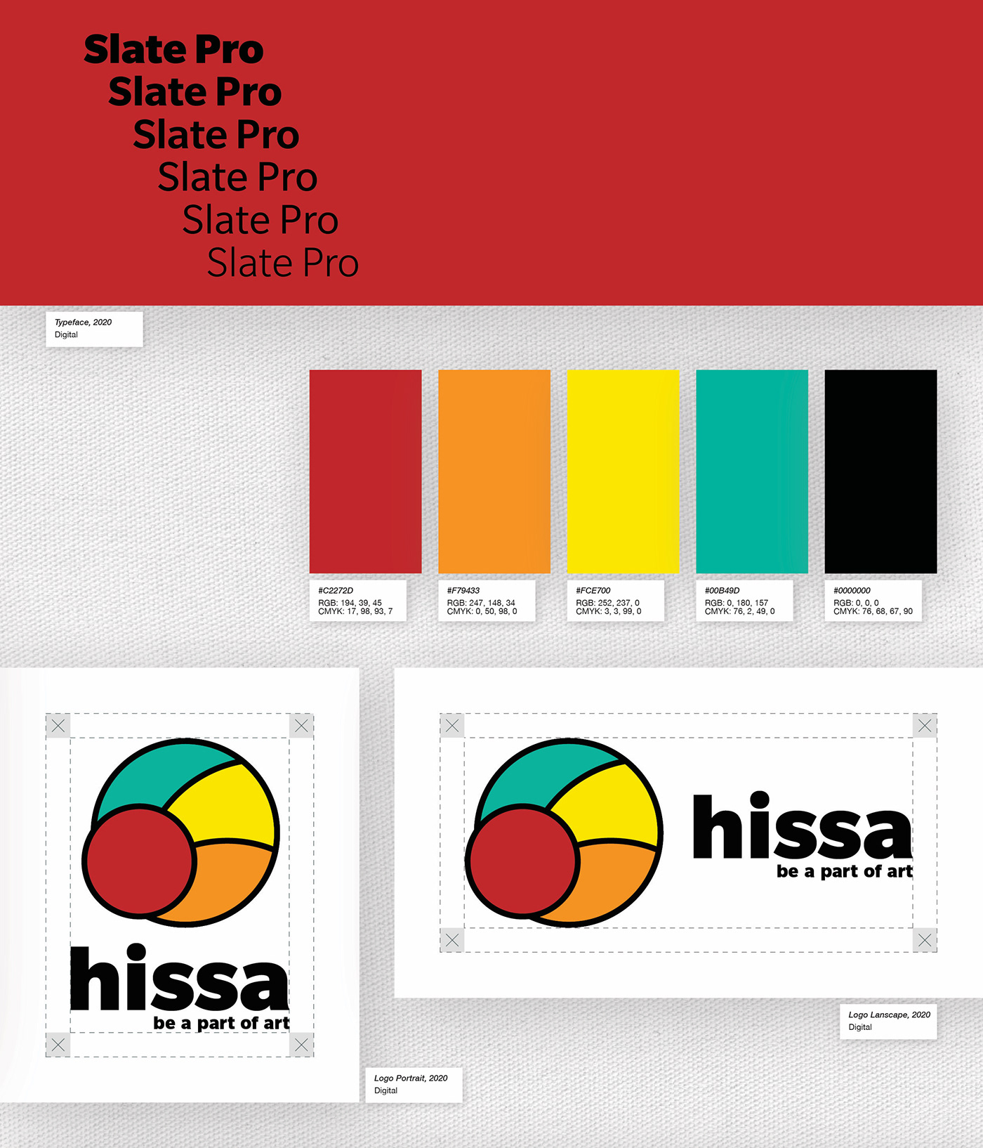 branding  colours graphic hissa logo logoset Shreyansh brand graphicdesign visualidentity