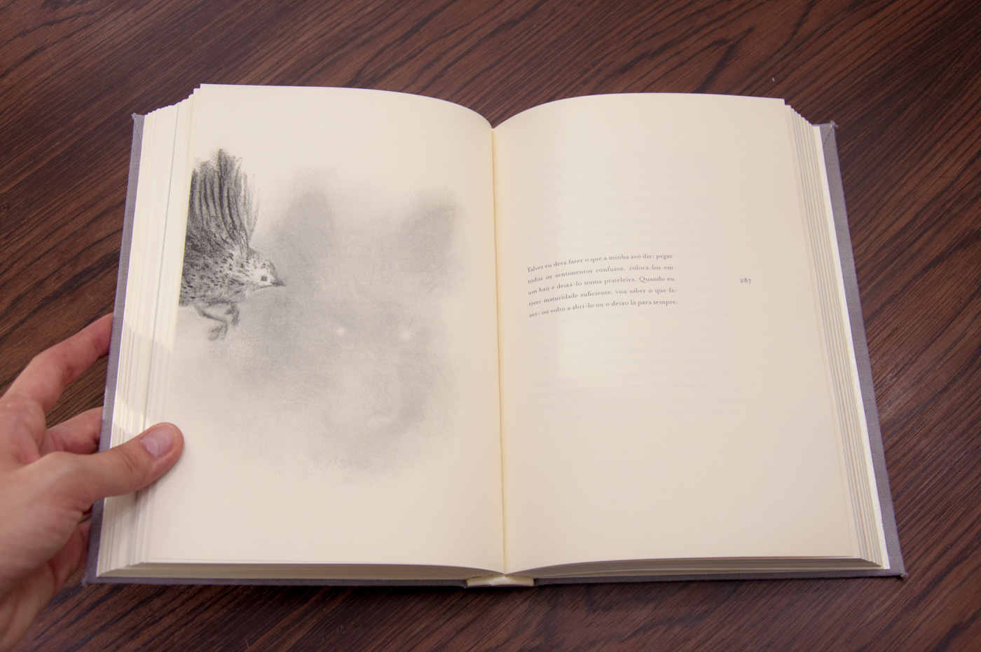 book design book encadernação DESIGN DE LIVRO Livro passarinho Ilustração Mrs Eaves bird