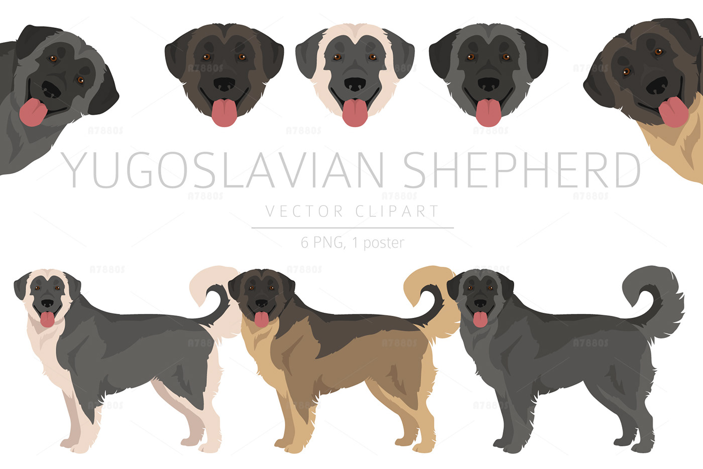yugoslavia Shepherd sheepdog macedonia dog clip art illirsky ovchar ovchar sarplaninac yugoslavian shepherd