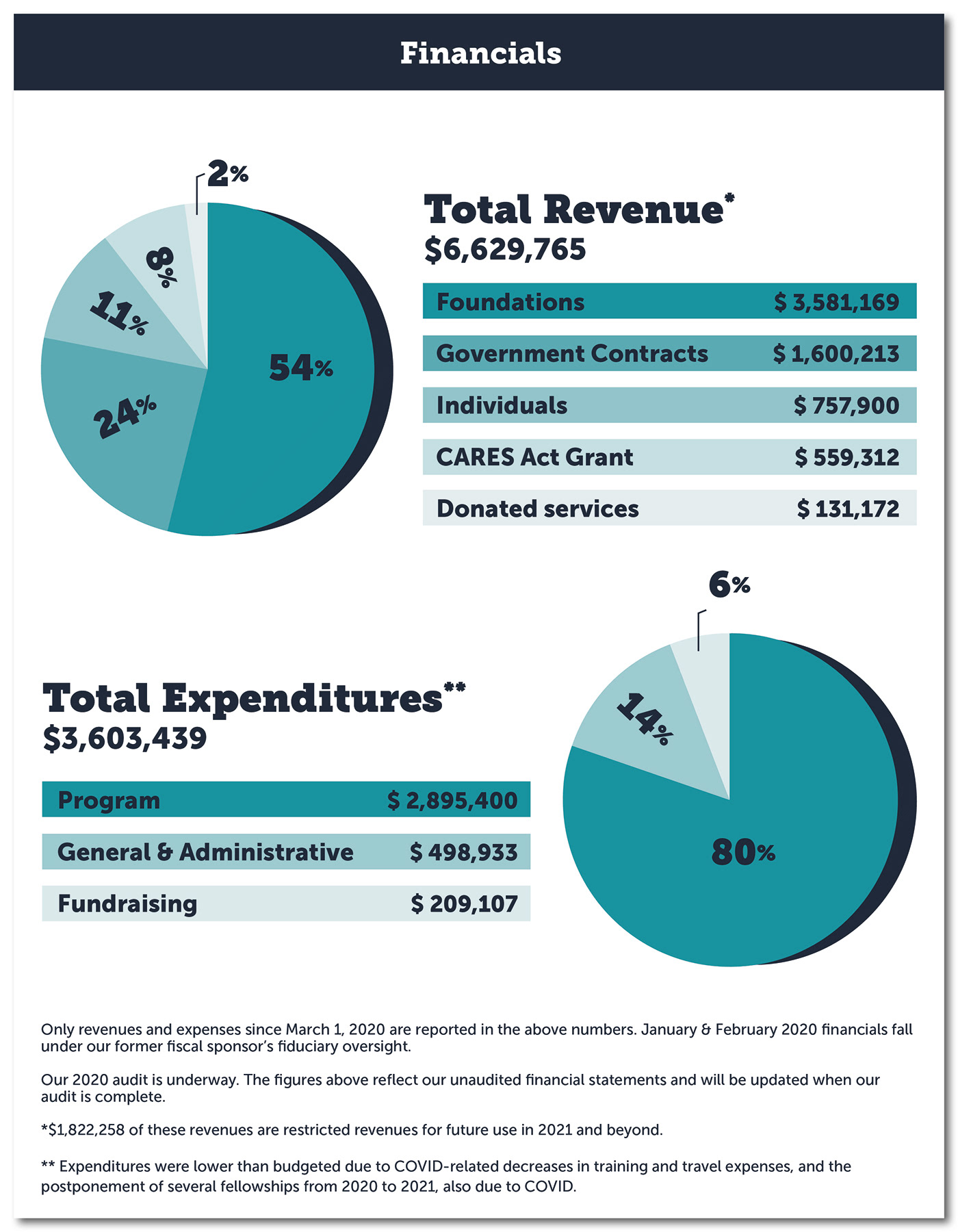 annual report financial report fundraising infographic Layout newsletter nonprofit pie chart publication report