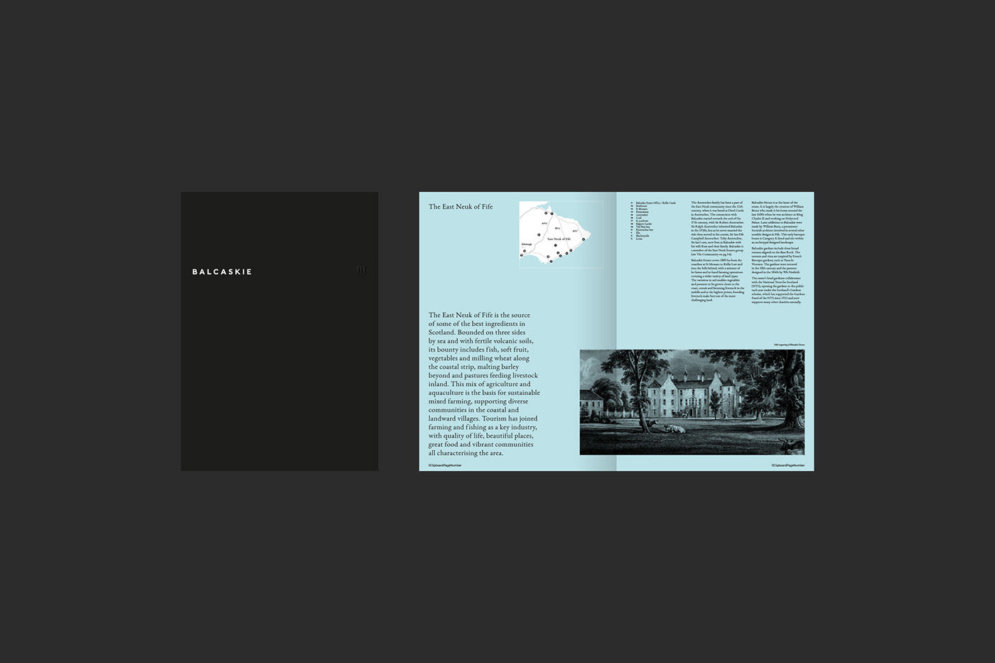 graphic design  brand guidelines brochure Website Design minimal Mono