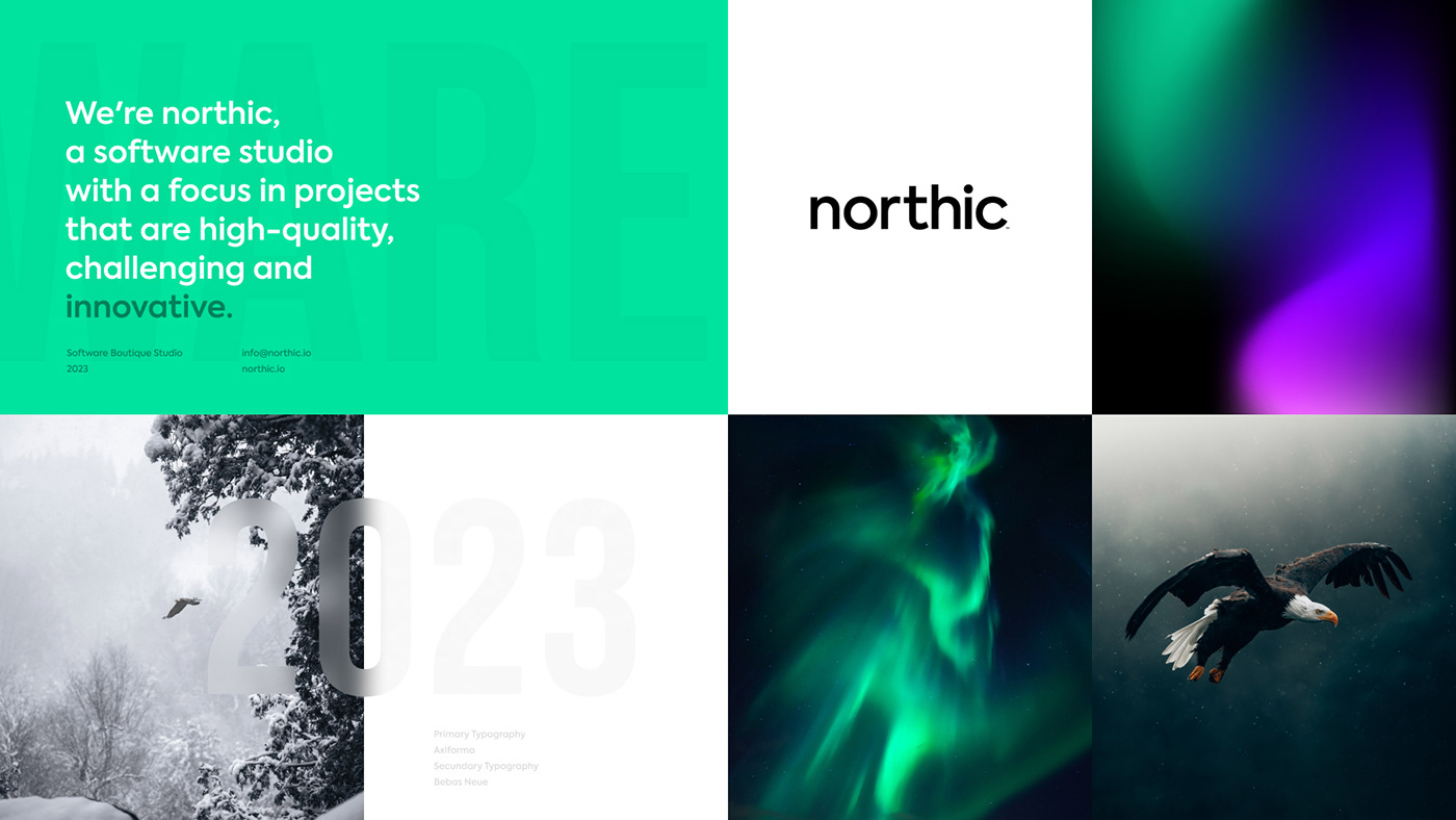 Northern Lights software company visual identity branding  eagle green purple north typography   IT