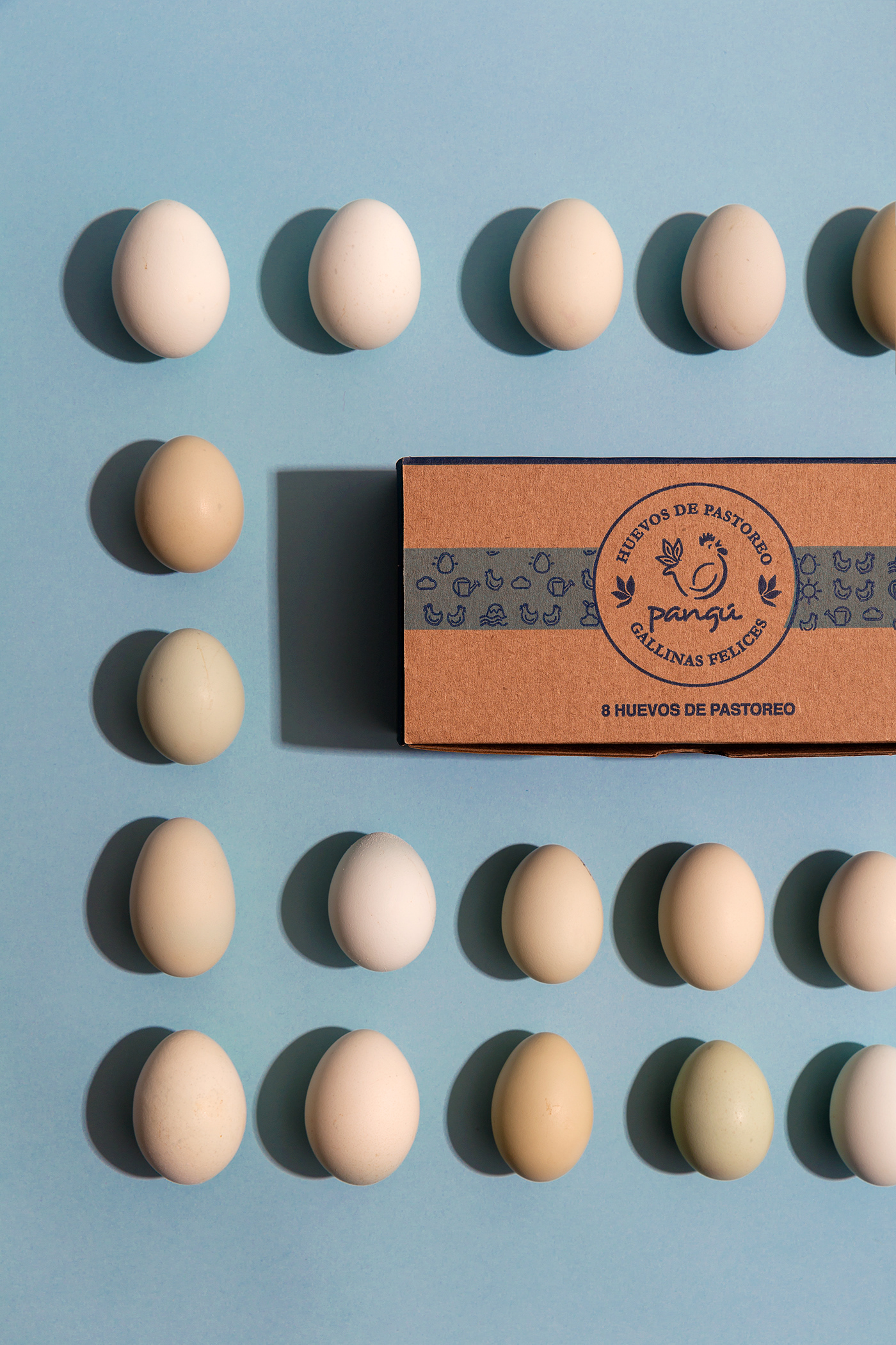 Agro agropecuary branding  brandingsuperfoods eggs happyhens logo Packaging superfoods