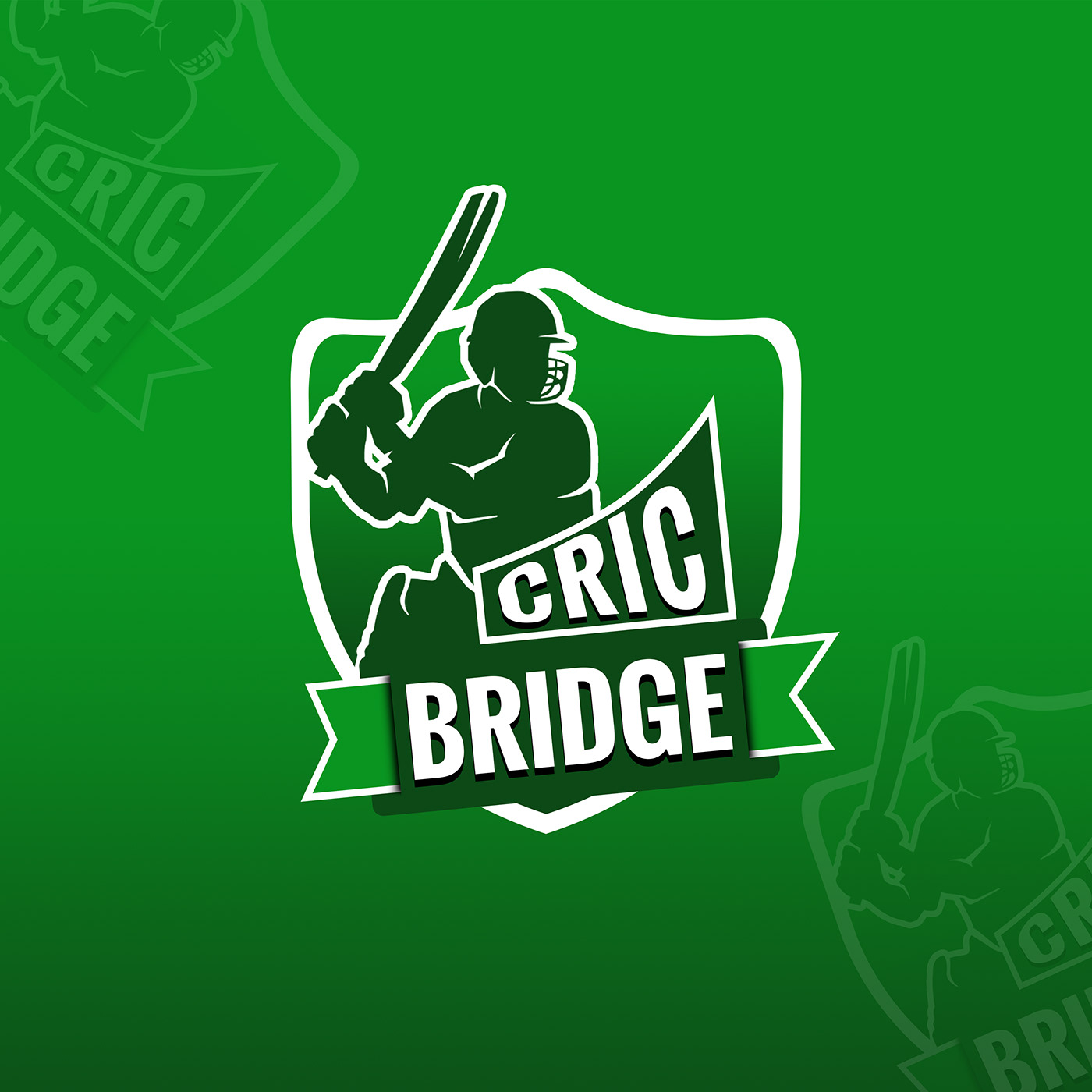 Adobe Photoshop brand identity cric bridge cricket logo Graphic Designer logo Logo Design vector