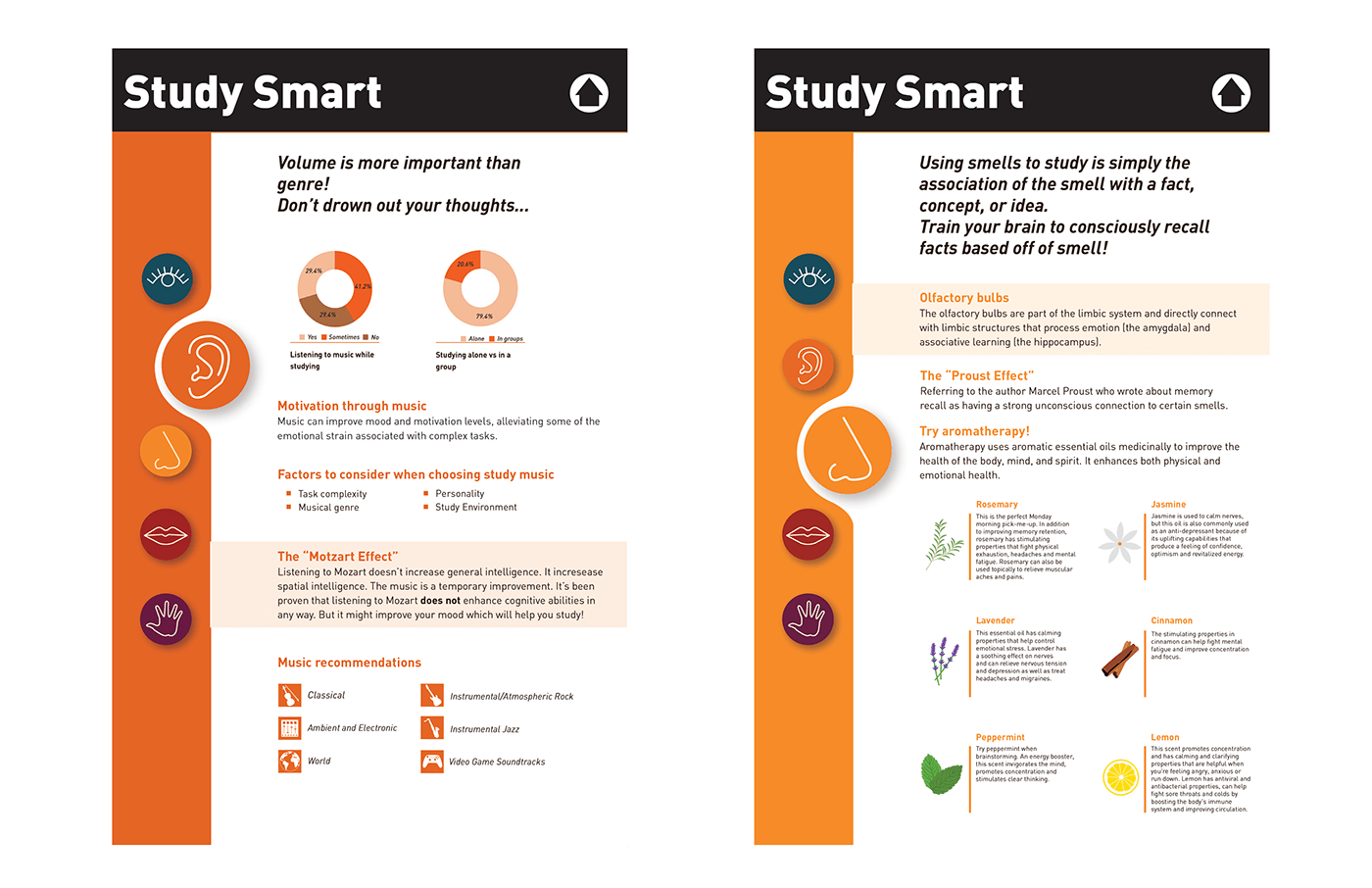 icons interactive infographic Education on-site survey study typography   hierarchy pie charts