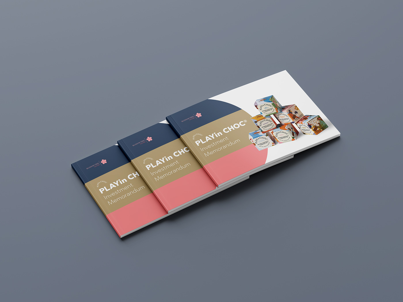 catalog brochure print design Graphic Designer InDesign